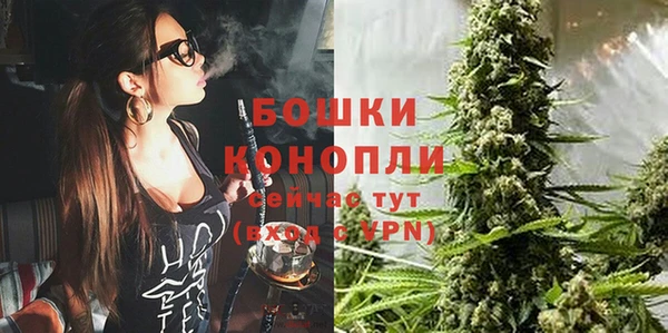 мдпв Вязники