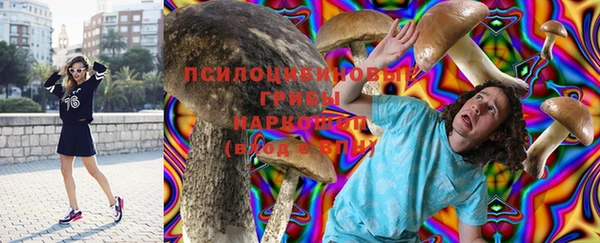 mix Вяземский